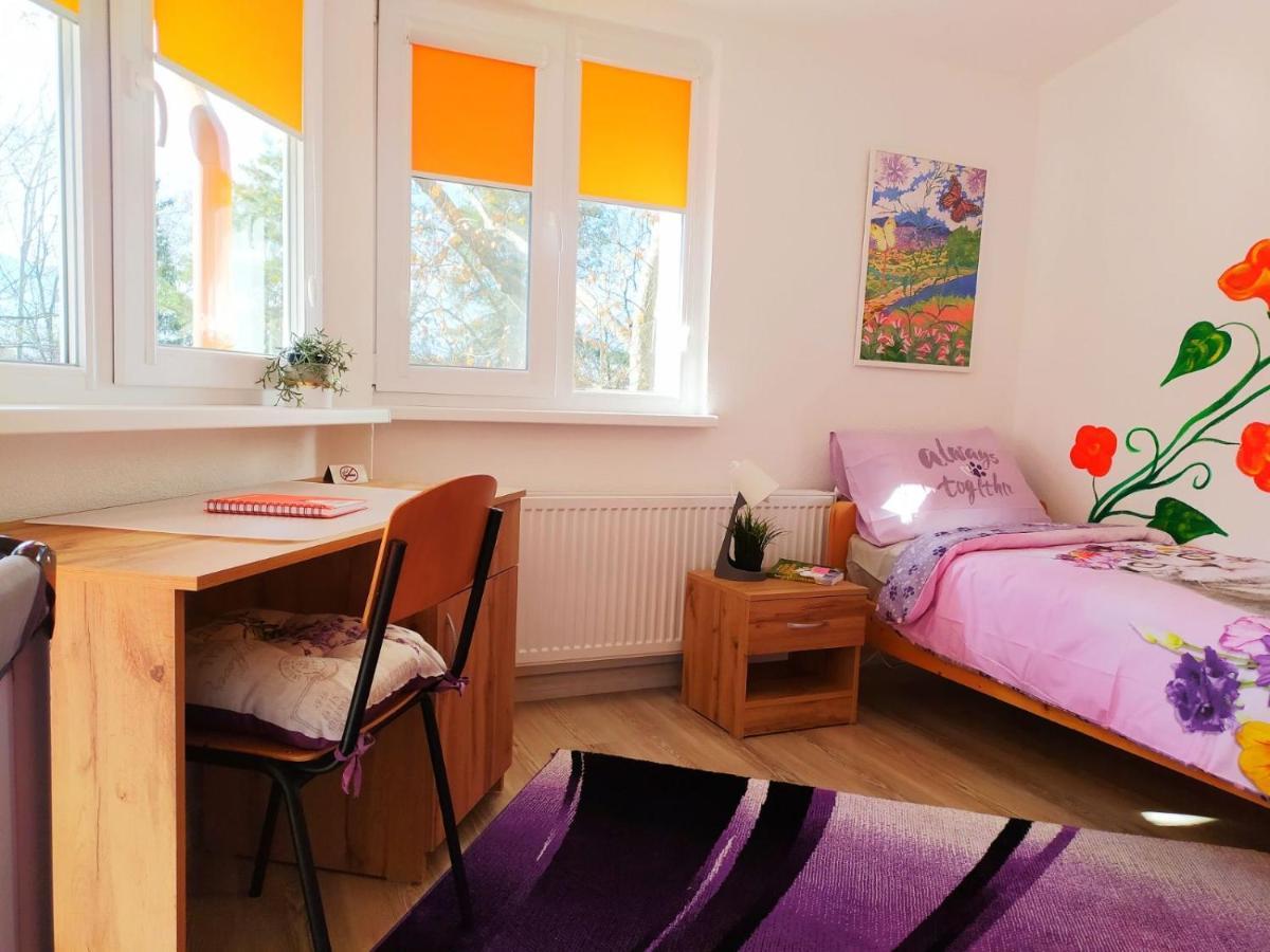Дом За Гости Осогово Apartment Kyustendil Exterior photo
